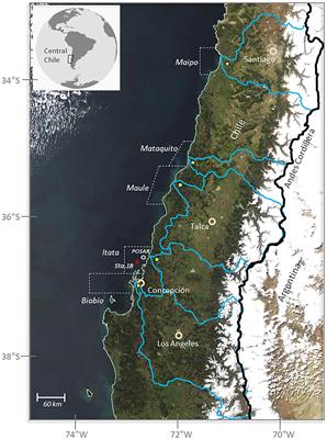 The Influence of River Discharge on Nutrient Export and Phytoplankton Biomass Off the Central Chile Coast (33°–37°S): Seasonal Cycle and Interannual Variability